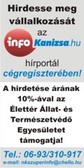 csgregiszter_120x240