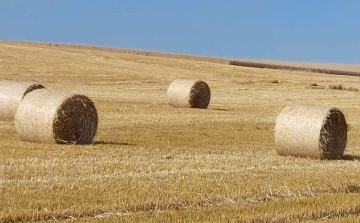 Az agrárminiszter szeretné betiltani a szalmabálák erőművi értékesítését