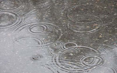 Esős időjárás várható a jövő héten