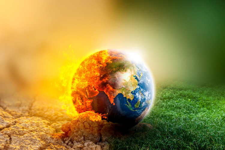 Agrárminisztérium: mintegy 160 millió facsemetével biztosított az erdőtelepítések kiszolgálása