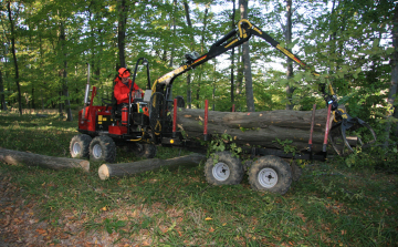 Erdőkért felelős államtitkár: ezután is szabályozott keretek között fog zajlani a fakitermelés